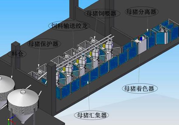 全自动猪场饲喂系统
